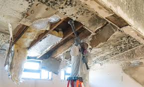 Best Residential Mold Inspection & Testing  in Jamesport, NY